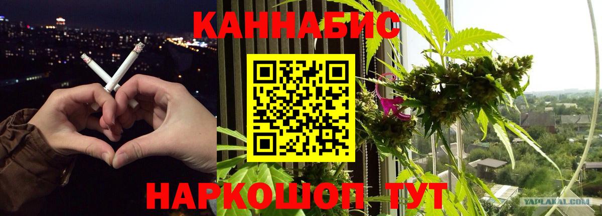 Бошки марихуана план Владивосток